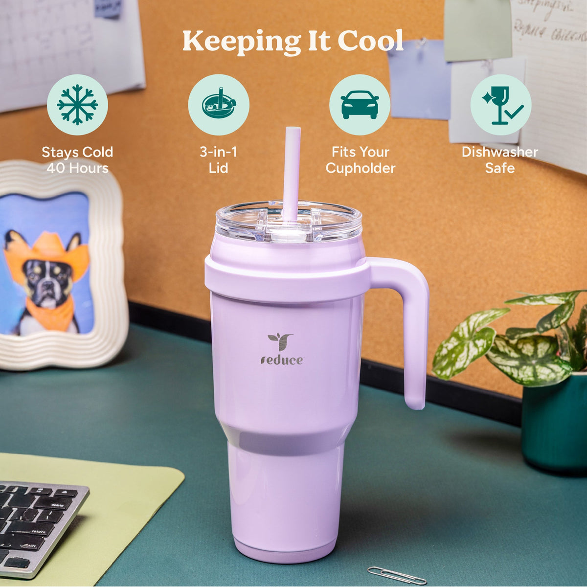 cold1-40-oz-o6 Cold1_40oz_Mojito_Infographic_1.jpg