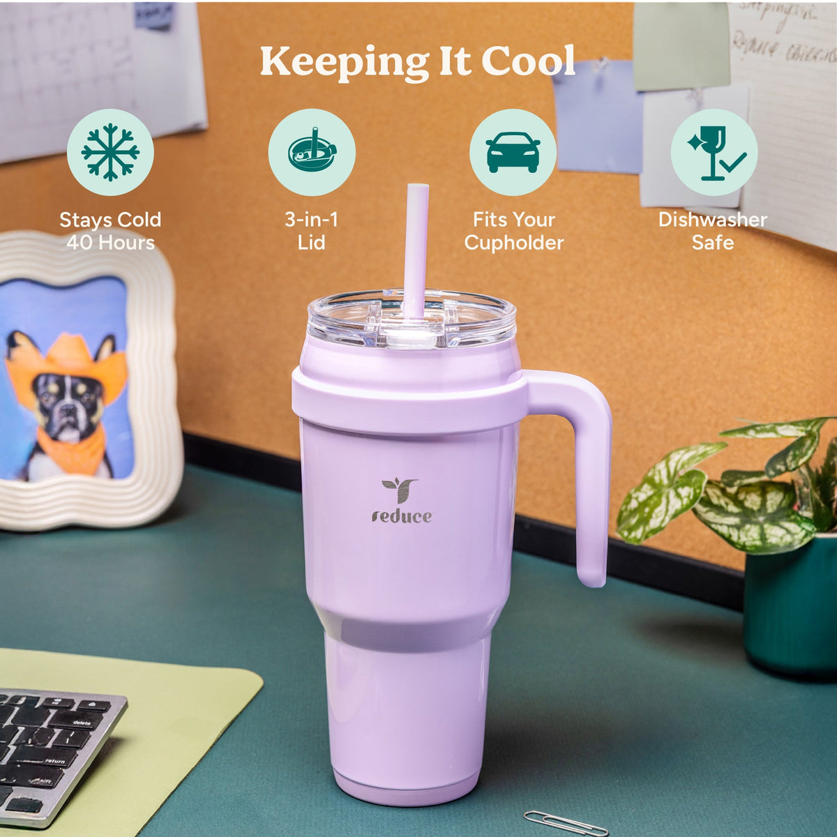 cold1-40-oz-o6 Cold1_40oz_PalmLeaf_Infographic_1.jpg