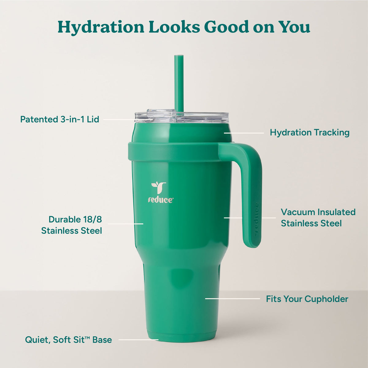 cold1-40-oz-o6 Cold1_40oz_PalmLeaf_Infographic_2.jpg