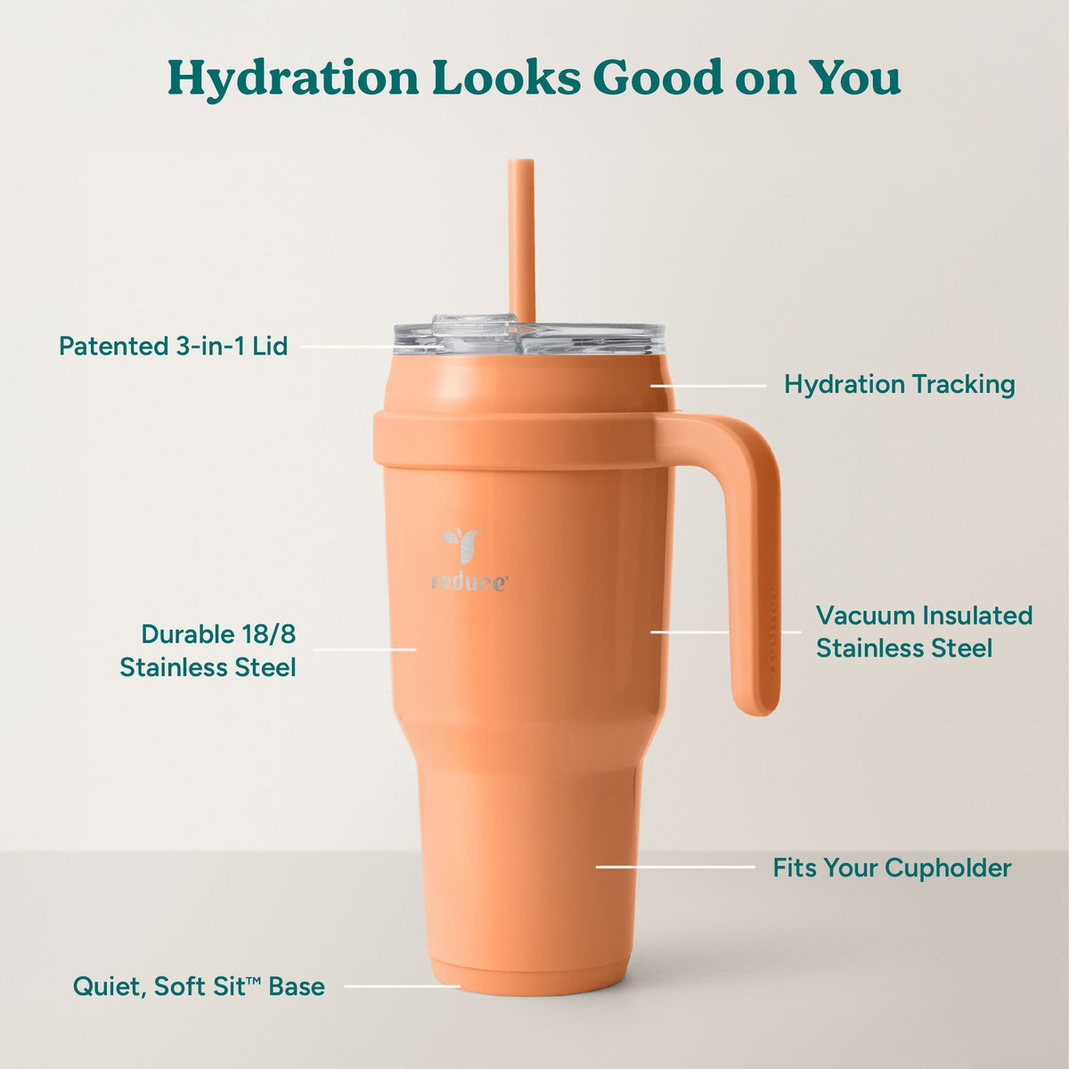cold1-40-oz-o6 Cold1_40oz_Papaya_Infographic_2.jpg