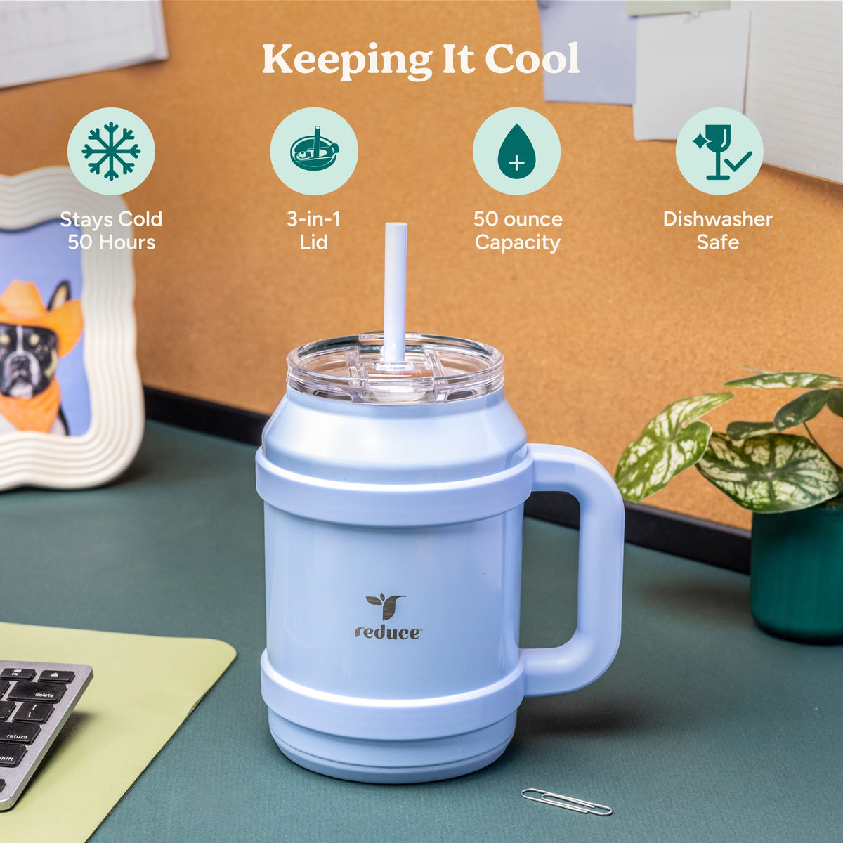 cold1-desktop-50-oz-v6 Cold1_50oz_Desktop_LilacBud_Infographic_1.jpg
